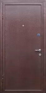 Дверь с порошковым напылением DZ315